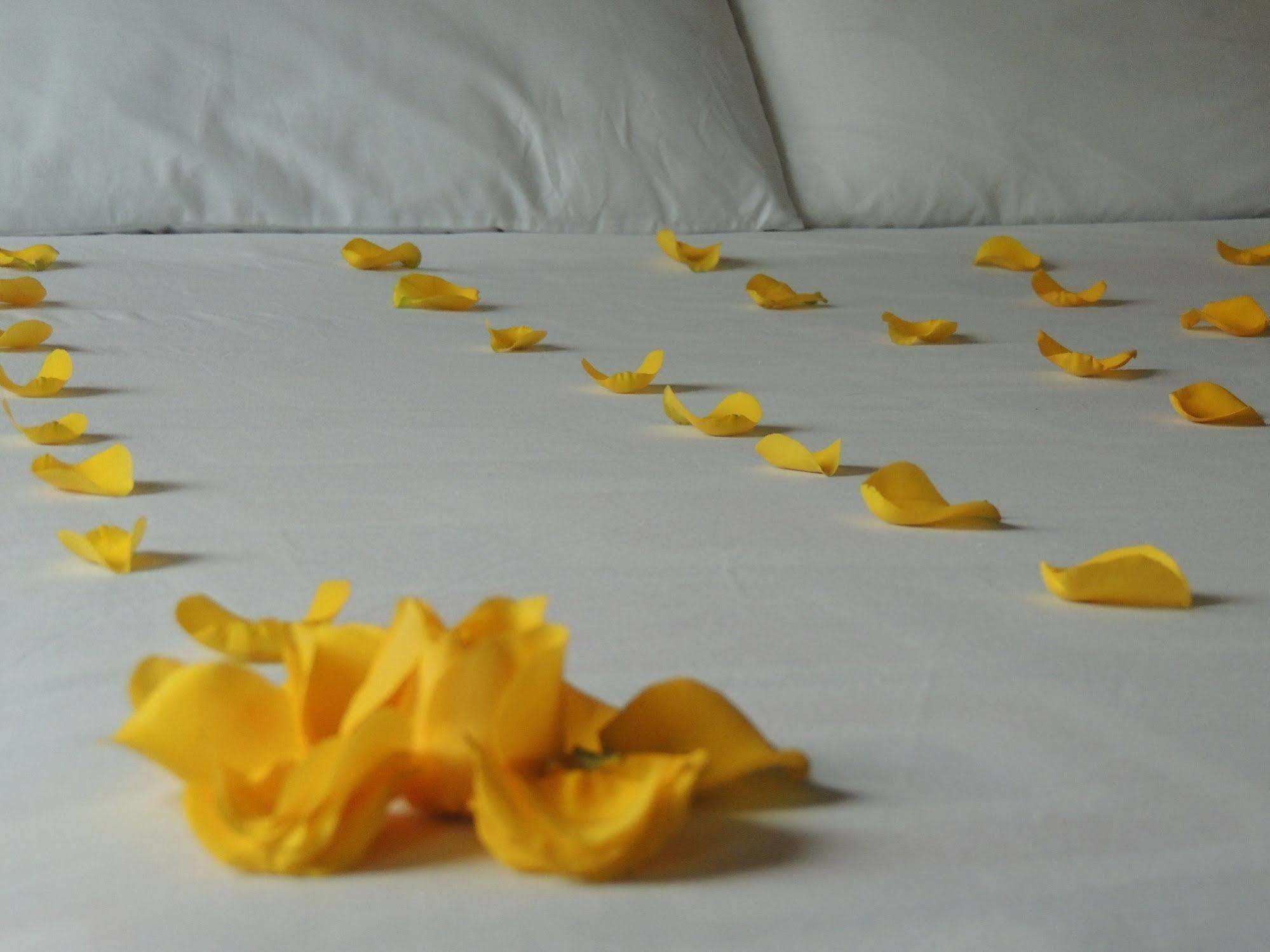 Titan Hotel & Spa Bogotá Extérieur photo
